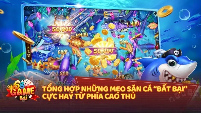 Tổng hợp những mẹo săn cá “bất bại” cực hay từ phía cao thủ  
